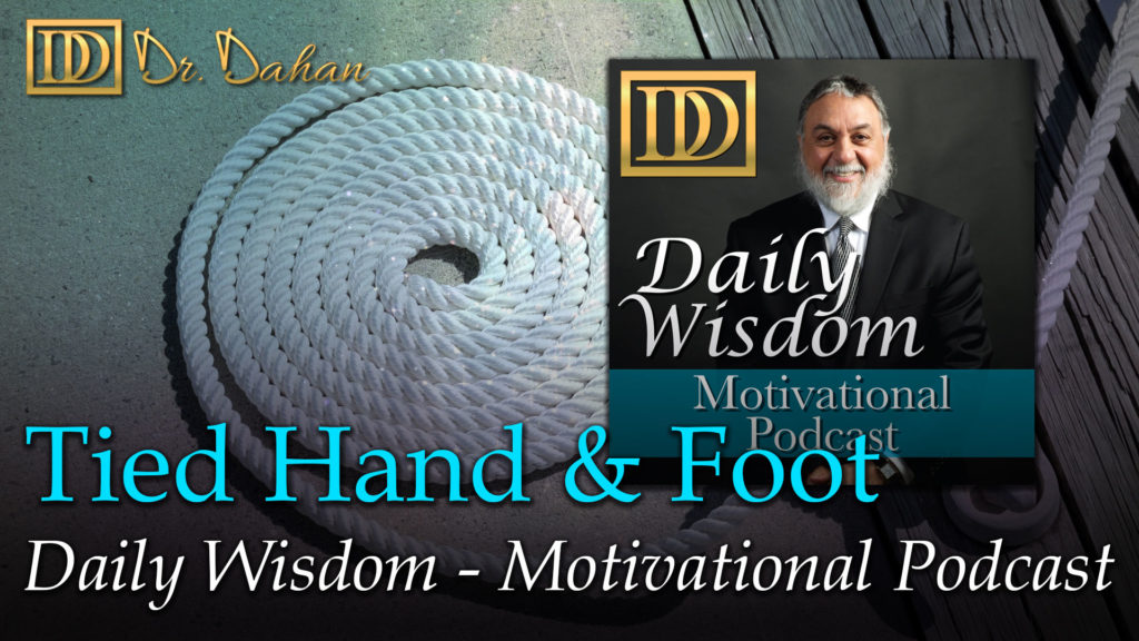 267 dailywisdom youtube