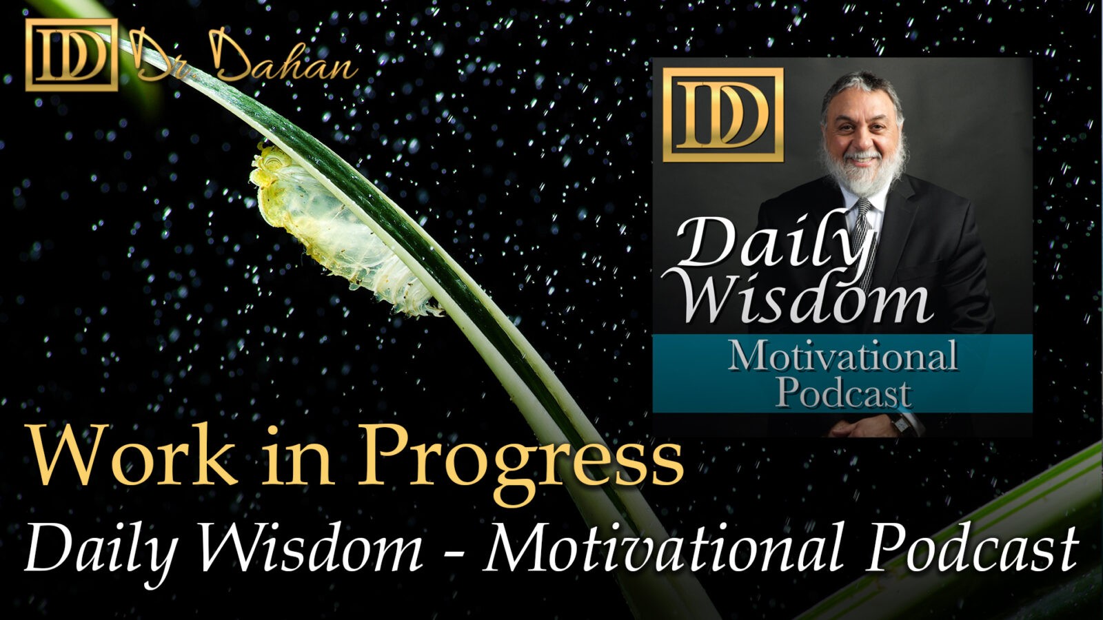 250 dailywisdom youtube