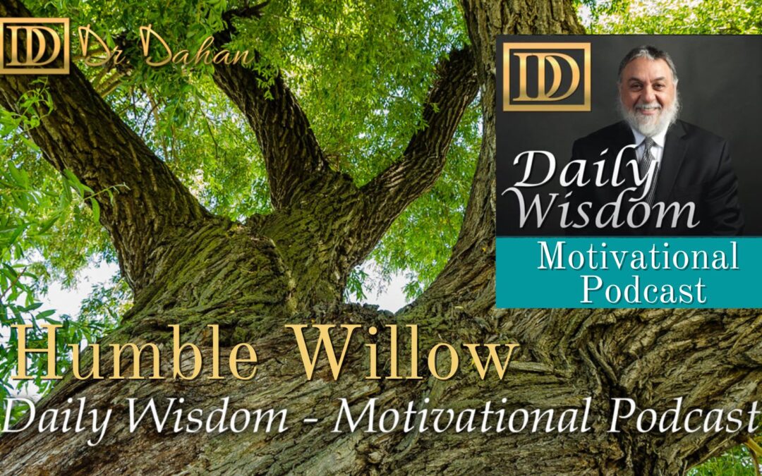 Humble Willow